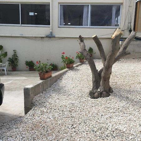 Ellenapa Apts & Studios Aya Napa Dış mekan fotoğraf